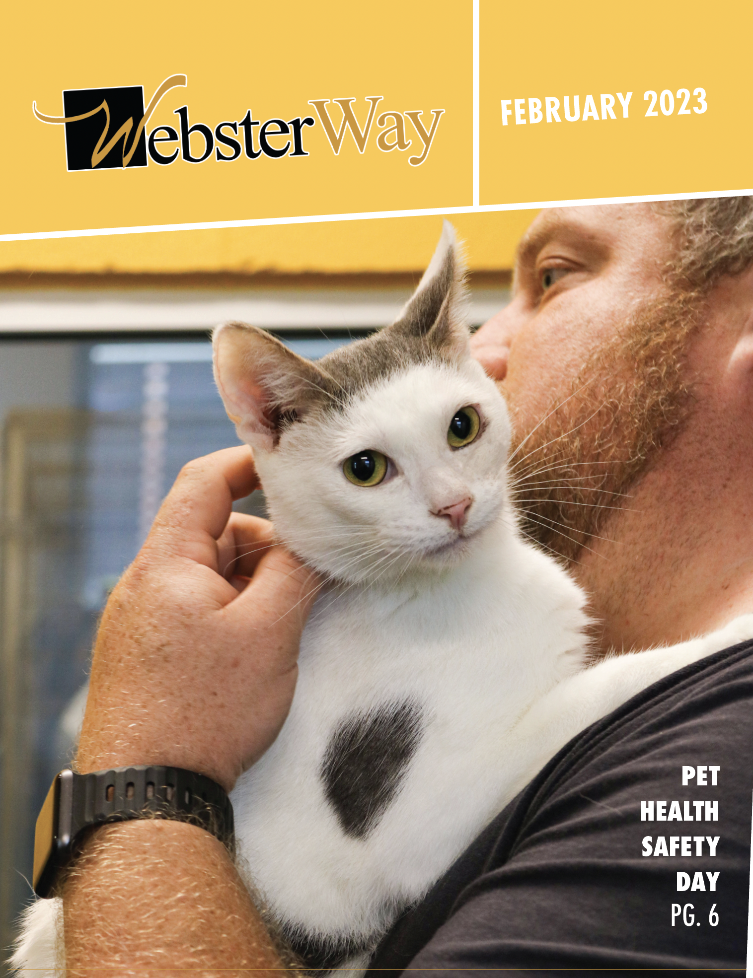 Screen Shot 2023-02-01 at 7.40.26 AM