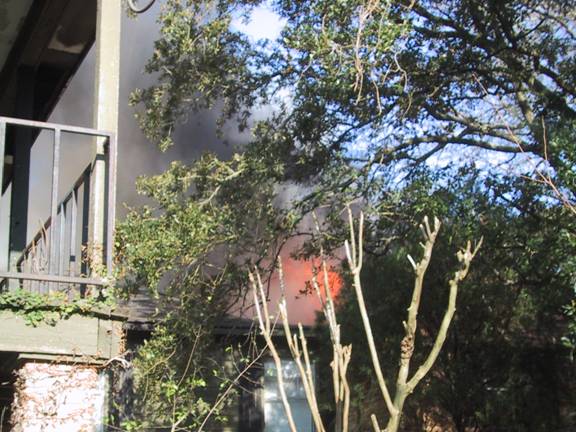 View of burning apartment through trees
